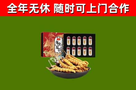 信都区烟酒回收冬虫夏草礼盒.jpg