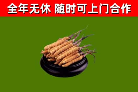 信都区烟酒回收冬虫夏草.jpg