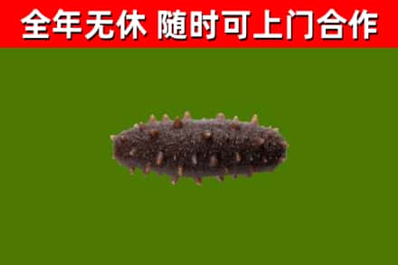 信都区烟酒回收干海参.jpg
